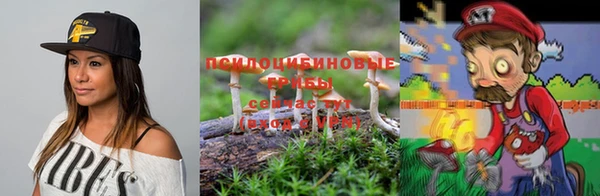 марки nbome Алексеевка