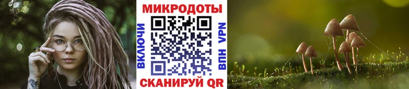 Галлюциногенные грибы GOLDEN TEACHER  дарк нет Telegram  Невьянск 